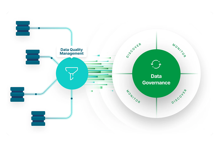 qlik data quality services